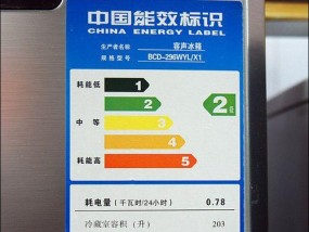 海尔冰箱显示E1故障解析与处理方法（识别E1故障的原因和有效的解决方案）