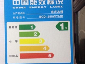 创维冰箱报FD故障的原因及解决方法（探究创维冰箱报FD故障的常见原因和有效的维修方法）