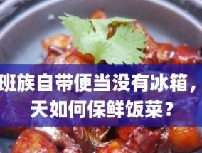 冰箱坏了怎么保存便当肉（在没有冰箱的情况下如何保鲜便当肉）