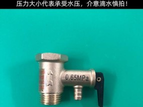 如何正确打开电热水器的安全阀（保障家庭用水安全）