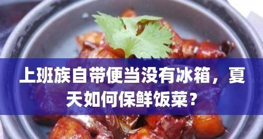 冰箱坏了怎么保存便当肉（在没有冰箱的情况下如何保鲜便当肉）  第1张